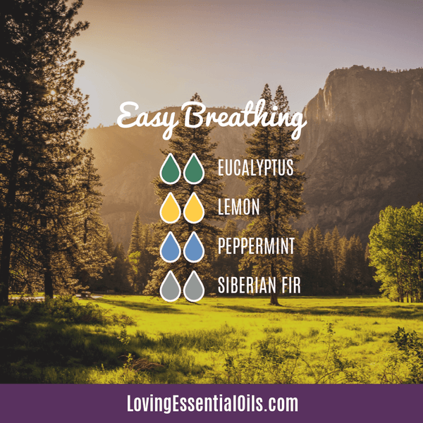 Siberian fir essential oil blends - Easy breathing by Loving Essential Oils