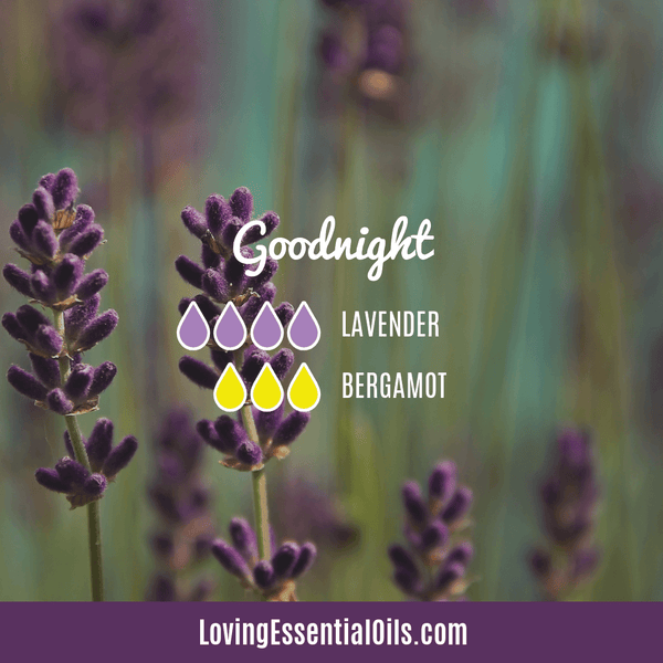 Sleep Diffuser Blend - Goodnight by Loving Essential Oils with lavender and bergamot