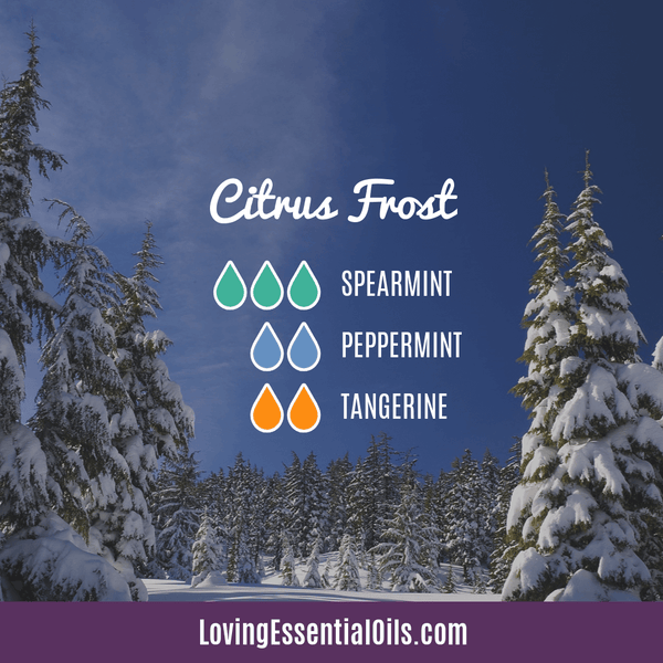 Spearmint and Peppermint oil blend by Loving Essential Oils | Citrus Frost with tangerine