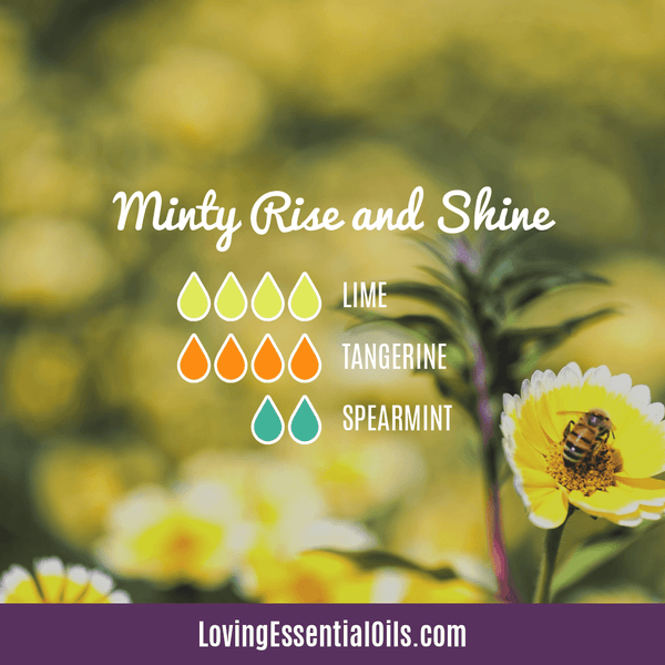 Spearmint Diffuser Blend Recipe - Minty Rise and Shine by Loving Essential Oils with lime, tangerine and spearmint essential oil