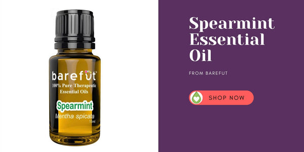 Where to Buy Spearmint Essential Oil - Barefut