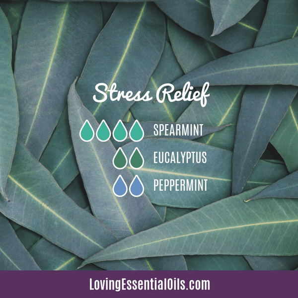 Spearmint Oil vs Peppermint Oil by Loving Essential Oils | Stress Relief Blend with Eucalyptus