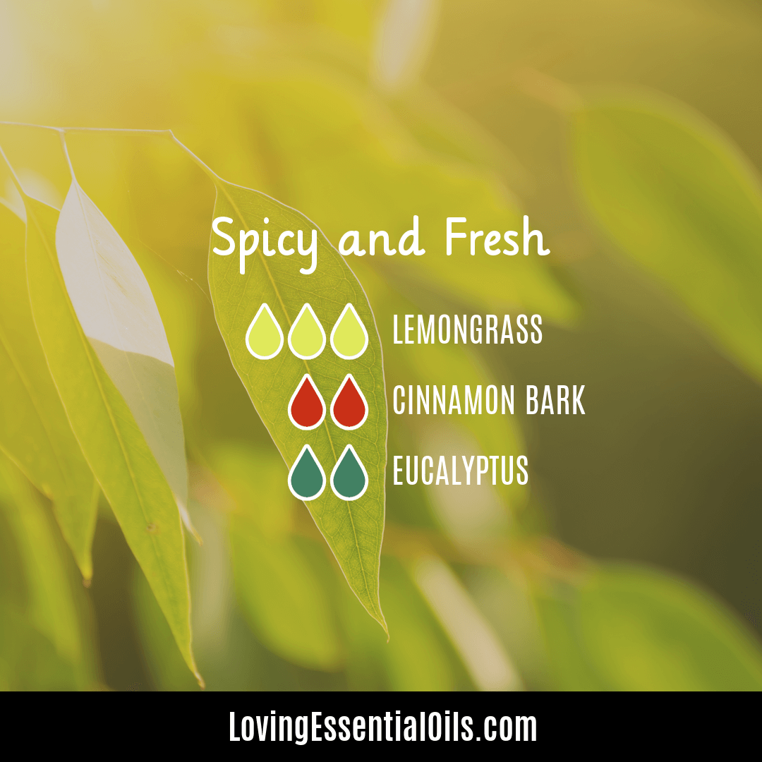 Spicy Blends for Diffuser by Loving Essential Oils