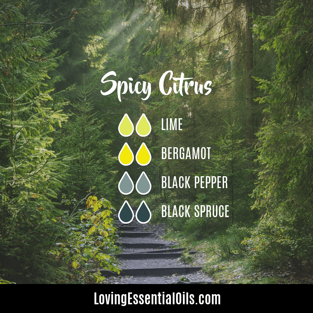 Spicy citrus diffuser blend by Loving Essential Oils