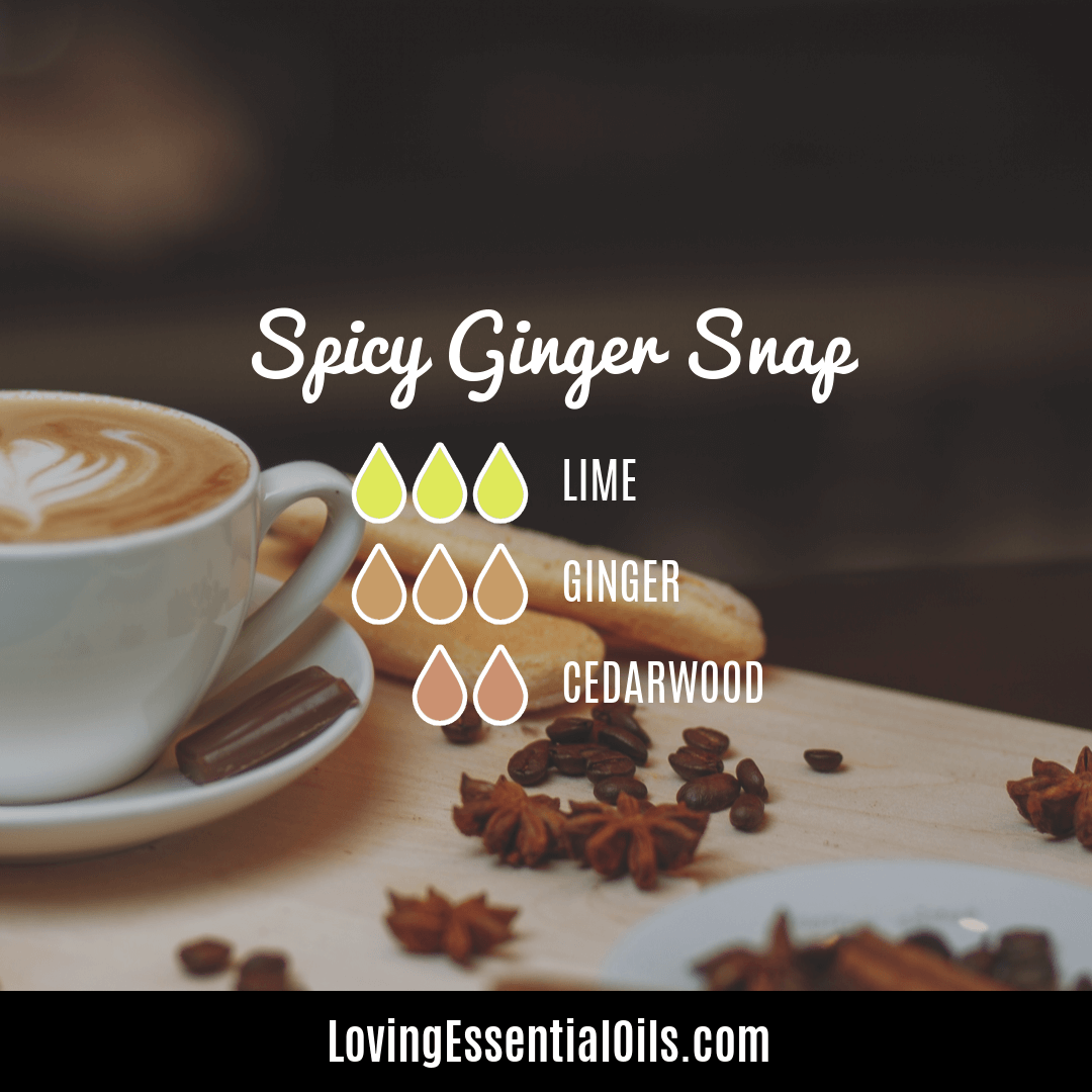 Spicy diffuser blend by Loving Essential Oils