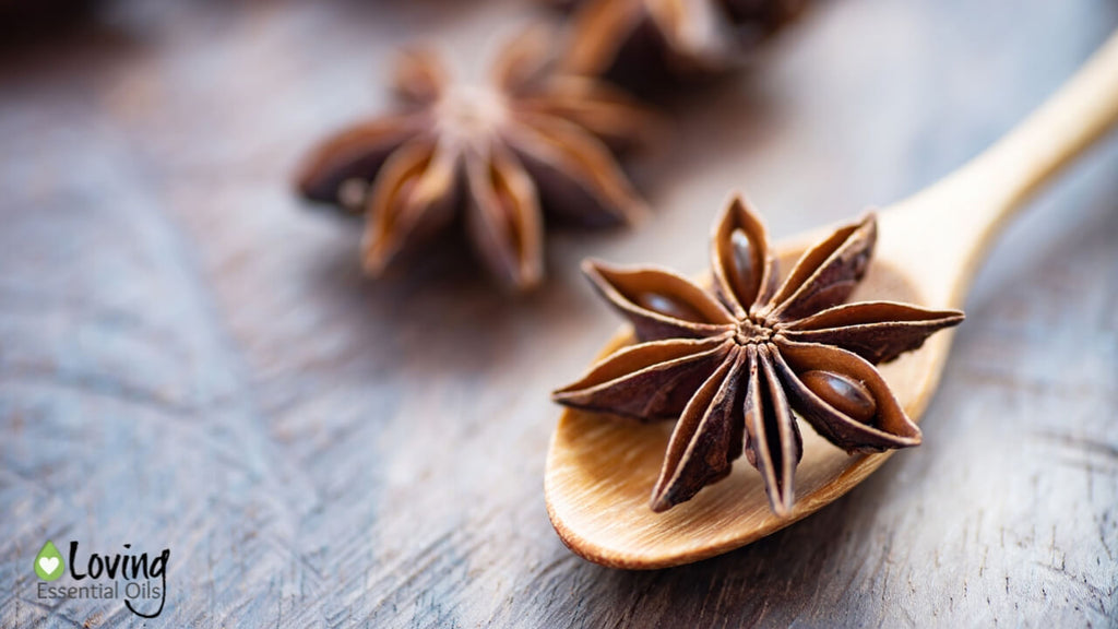 Star Anise Essential Oil Blends to Spice Up Your Life by Loving Essential Oils