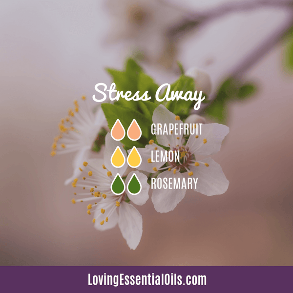 Stress Away Diffuser Blend by Loving Essential Oils with Rosemary