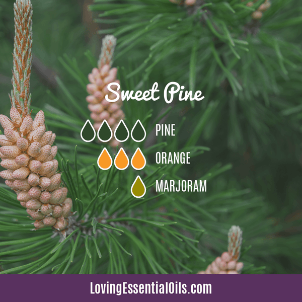Sweet Orange Diffuser Blend - Sweet Pine by Loving Essential Oils with pine, orange, and marjoram