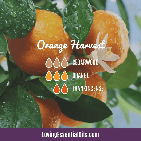 Sweet Orange Essential Oil Diffuser Blends - Orange Harvest by Loving Essential Oils with cedarwood, orange and frankincense