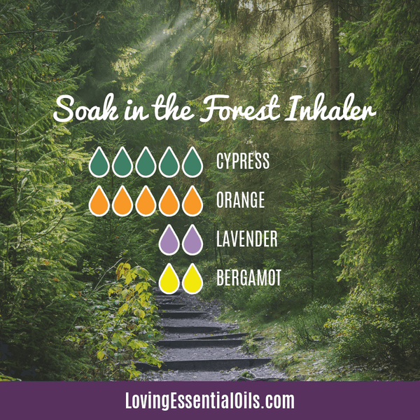 DIY Orange Oil Recipe Blends by Loving Essential Oils | Soak in the Forest with cypress, orange, lavender, and bergamot