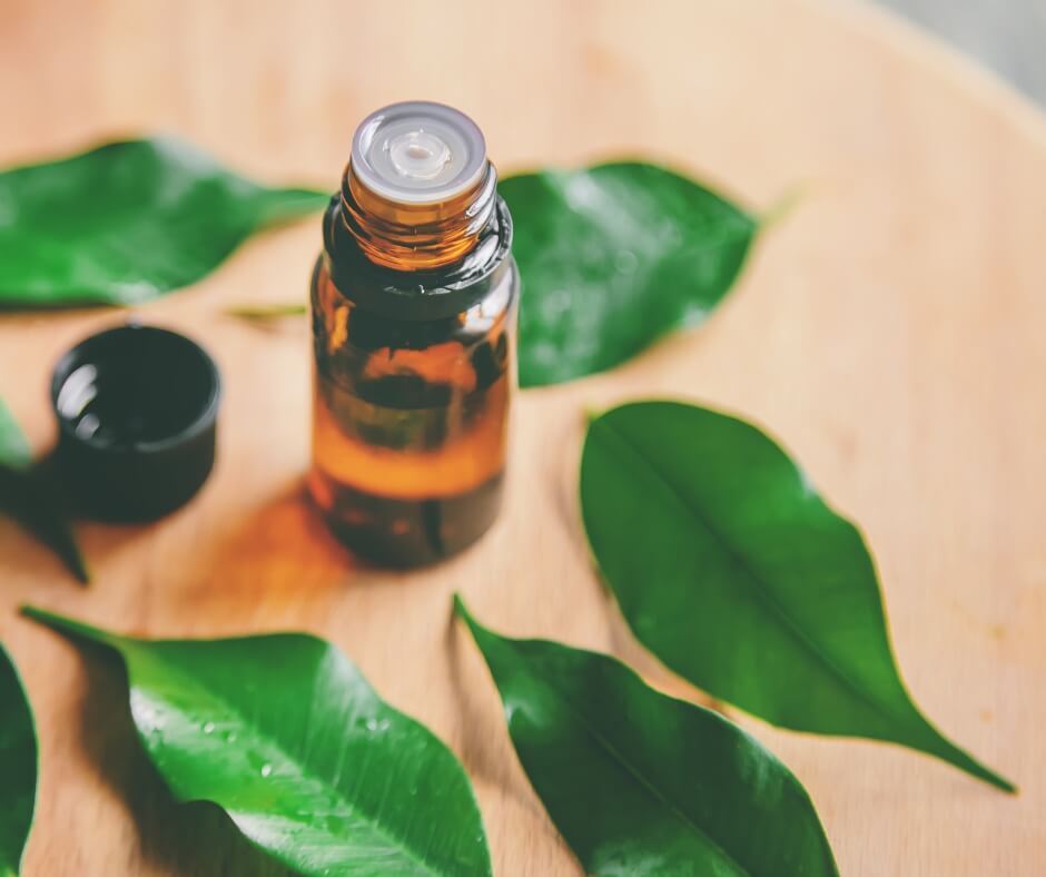 Tea Tree Essential Oil Benefits