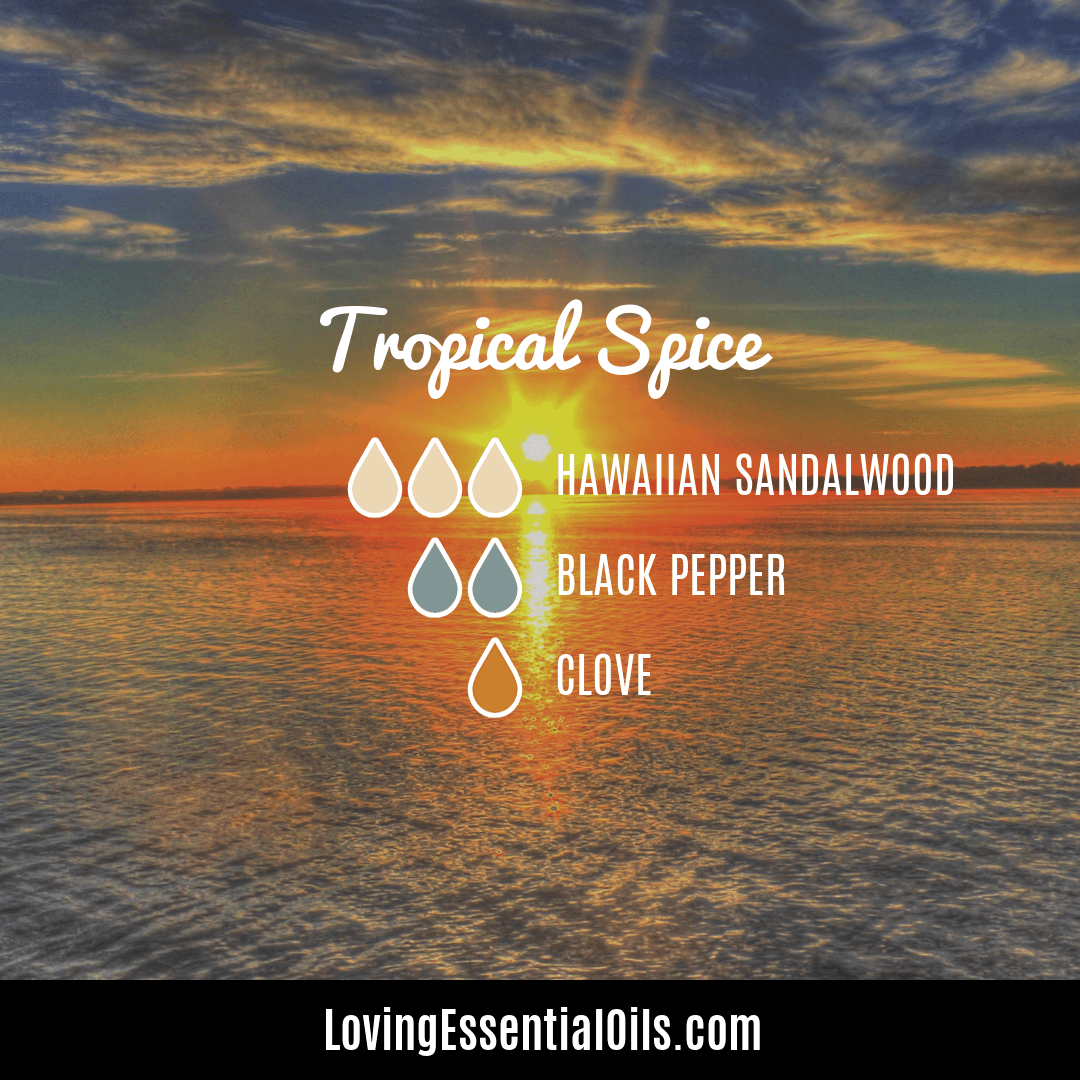 10 Spicy Diffuser Blends for Warmth and Essential Oil Bliss – Loving ...