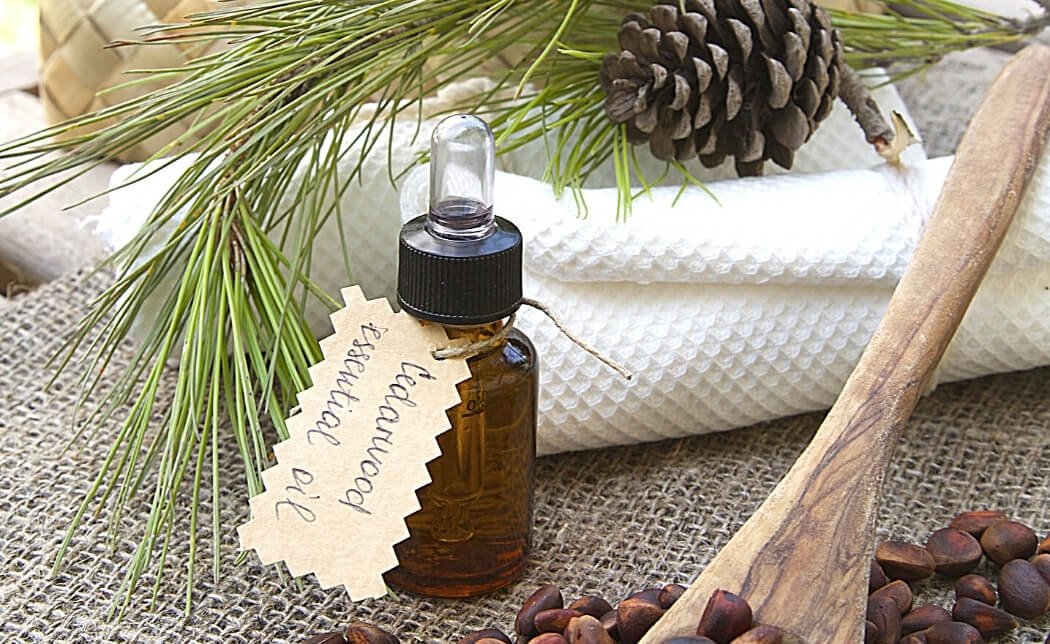 Types of Cedarwood Essential Oils for Sleep by Loving Essential Oils