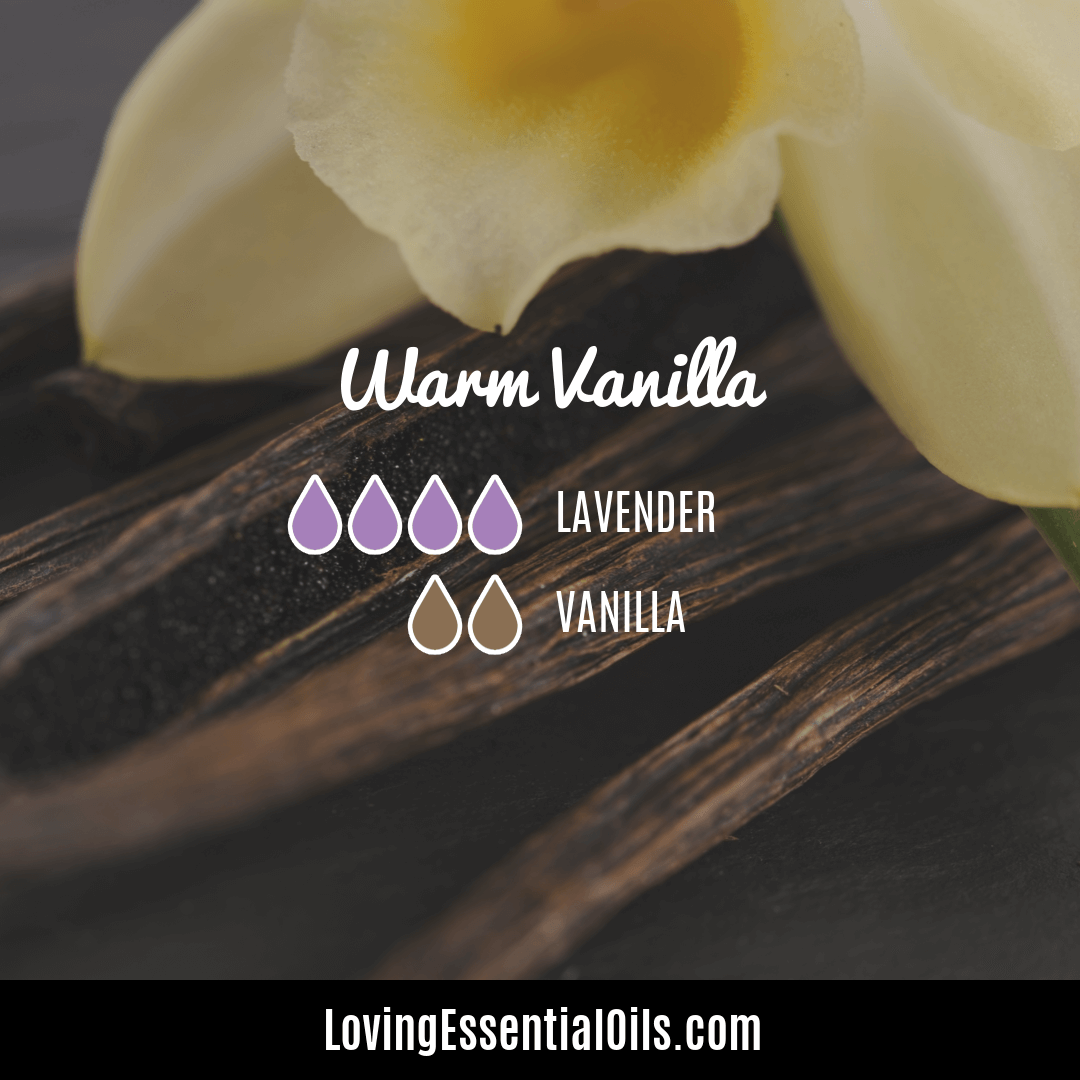 Warm Vanilla Cozy Blend with Lavender by Loving Essential Oils