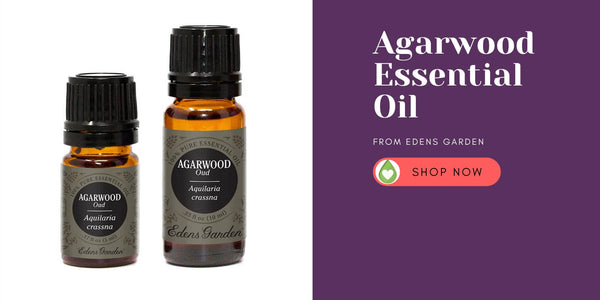 Where to Buy Agarwood Essential Oil - from Edens Garden Oud Oil