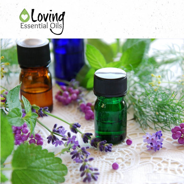 Where to buy essential oils cheap? by Loving Essential Oils | Essential oils don't have to be expensive, find out the best affordable essential oils to buy!
