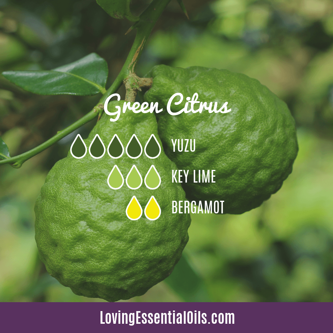 Yuzu Essential Oil Diffuser Blend - Green Citrus by Loving Essential Oils