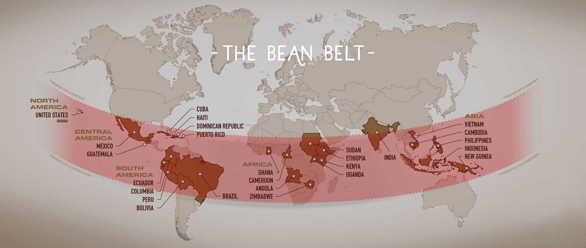 The Bean Belt - Real Good Coffee Co - Recyclable K Cups ...