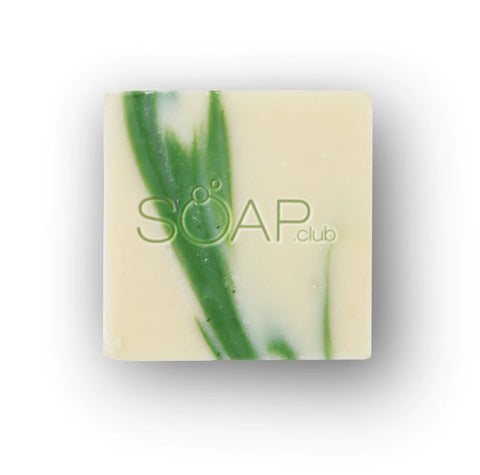 Aloe Vera Soap - Soap.Club