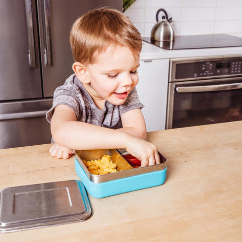 Child at counter eating out of kids bento box