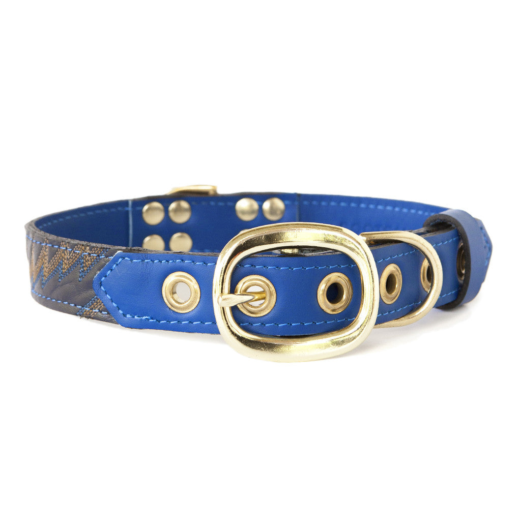 Royal Blue Dog Collar With Navy Leather + Blue/Gold Stitching