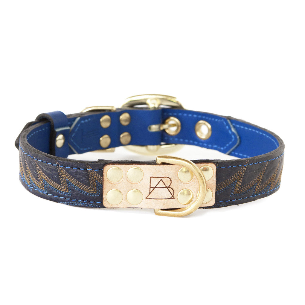 blue and gold dog collar