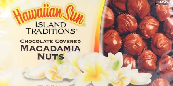 chocolate covered macadamia nuts