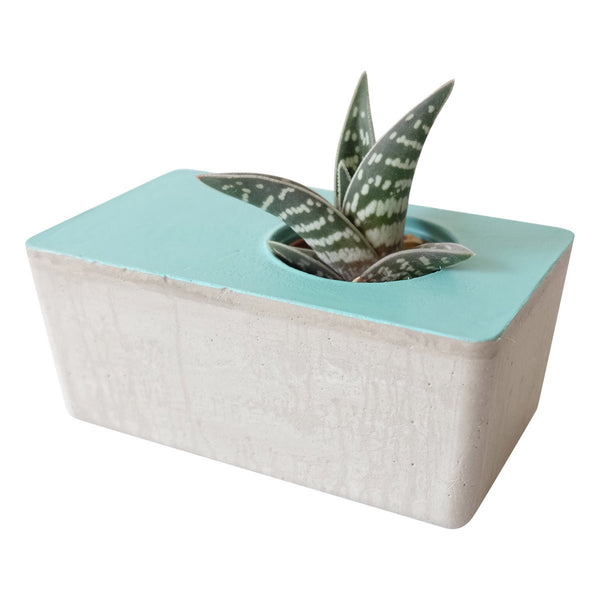  Cache  pot  en b ton facette bleu turquoise Les pieds de 