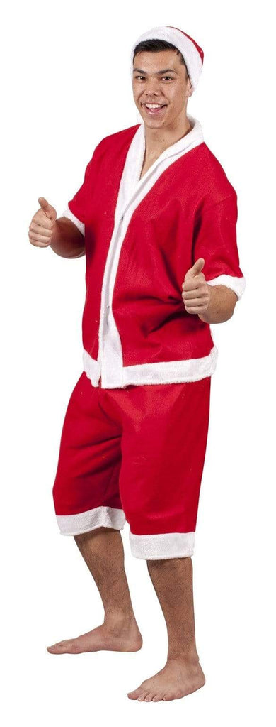 summer santa costume