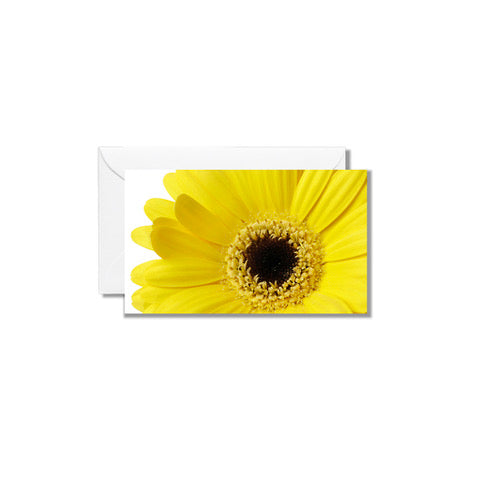 2 5 X 3 5 Card Yellow Poppies Floral Art