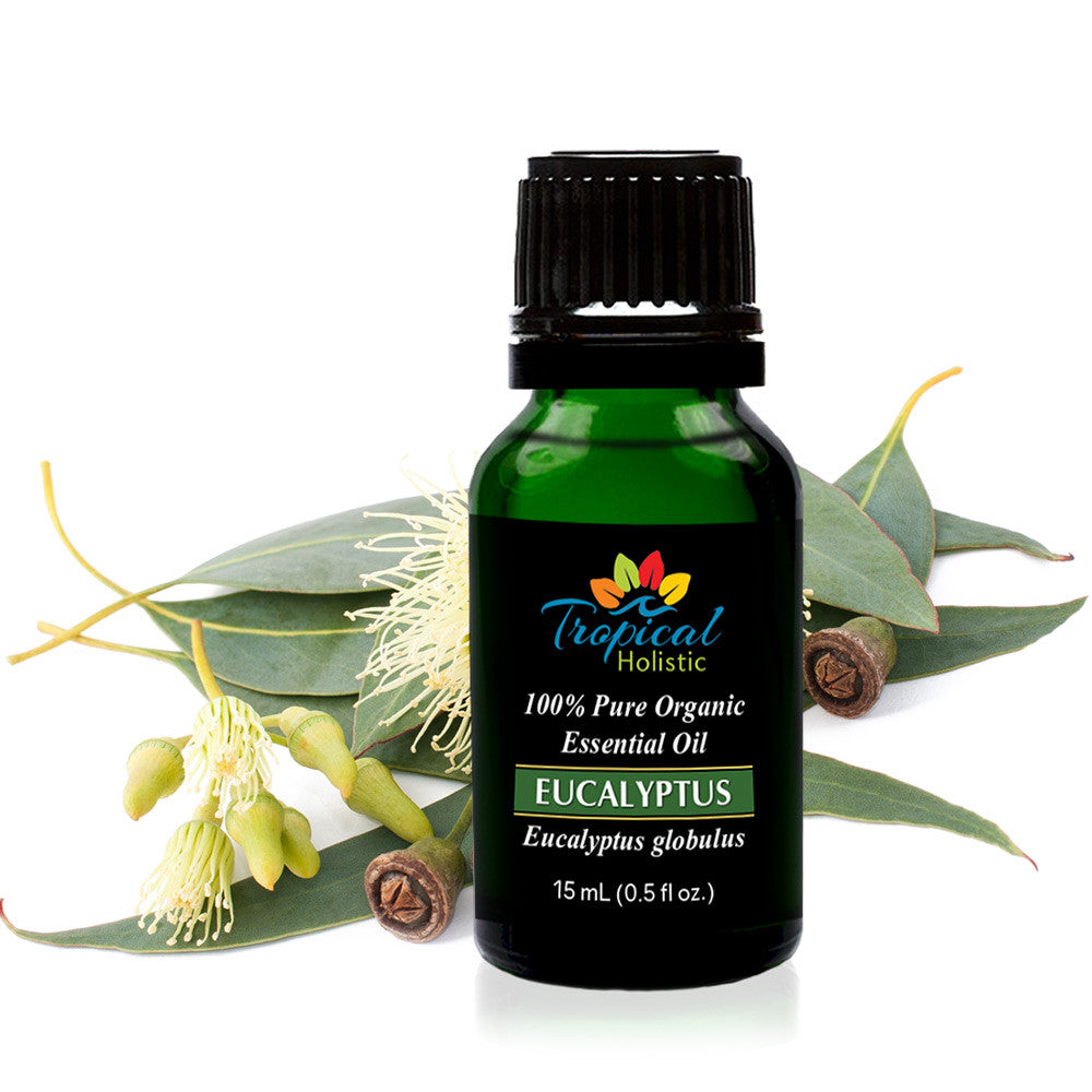 Eucalyptus Globulus Organic Essential Oil 15ml (1\/2 oz) -100% Pure & U – Tropical Holistic