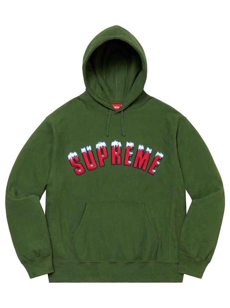 Supreme Icy Arc Hoodie Green [FW20] | Prior Store