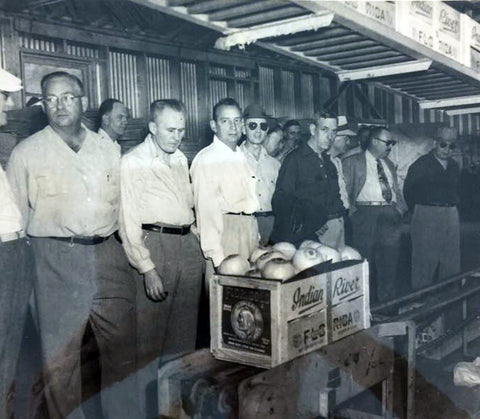 Tour of early packing house, Indian River Florida, Range Line Groves, circa 1956