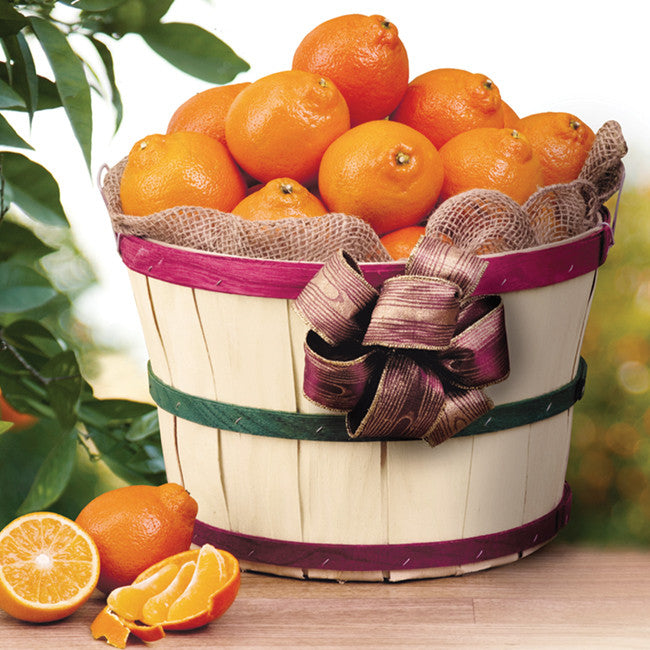 Florida Honeybells Grove Basket Citrus Fruit Gift Hyatt
