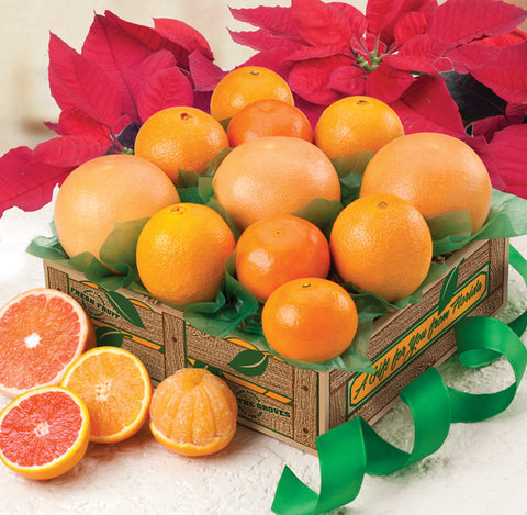 Florida Fruit Gift - Sunkissed Citrus Sampler