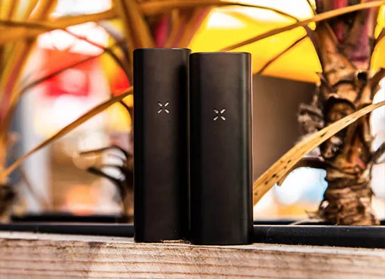 Two PAX dry herb vaporizers stood next to each other on a wooden bench, with plants in the background.