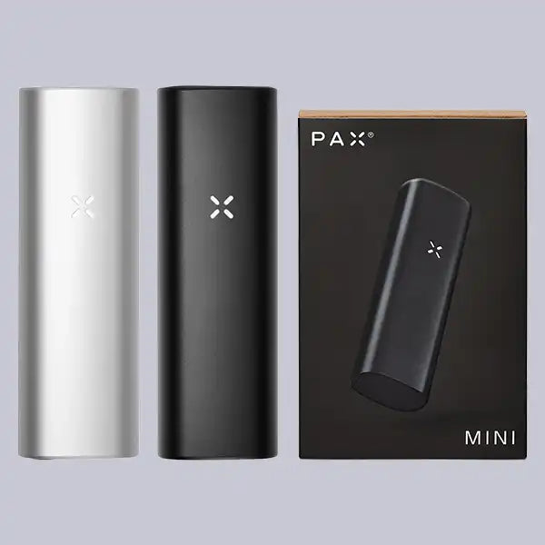 Two PAX Mini dry herb vaporizers and a box on a grey background.
