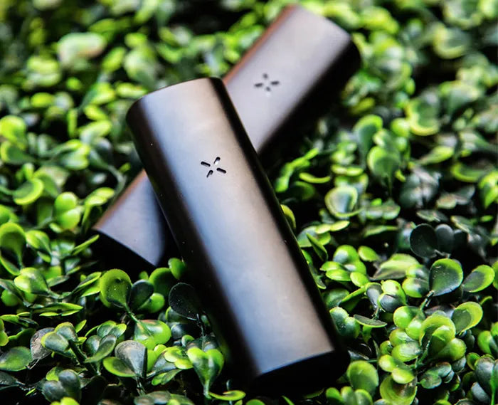 The PAX Mini Dry Herb Vaporizer on a green grass background