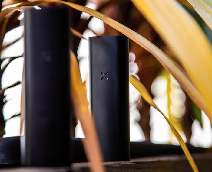 The PAX Plus dry herb vaporizer on a wooden table with plants surrounding.