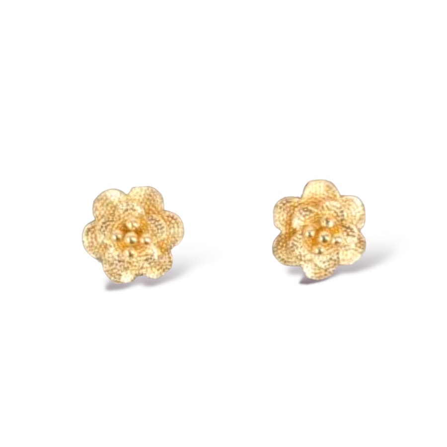 Screw-backs Spheres Studs Gold Over Stainless Steel Earrings