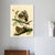 INVIN ART Framed Canvas Giclee Print Chuck will's Widow by John James Audubon Wall Art Living Room Home Office Decorations