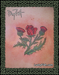 scottish thistle and english rose tattoo