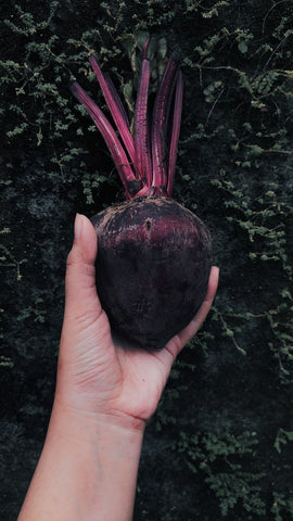 organic beets- O2 Living blog makers of organic cold-pressed fruit and vegetable Living Juice