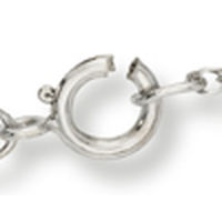 spring ring clasp