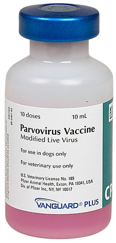 Pfizer 10376 Vanguard Plus Cpv, 10 Dose Vial