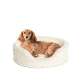 Furhaven Pet Products 13335353 Md Ultra Plush Oval - Cream