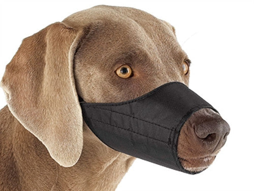 Jorvet 16824 Quickrelease Nylon Dog Muzzle, Small J169b