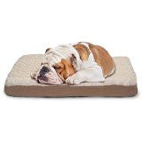 Furhaven Pet Products 32335083 Md Ultra Plush Deluxe Ortho Mat Cream