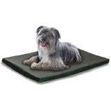 Furhaven Pet Products 35643434 32x22 Kennel Pad Green / Gray