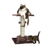 Furhaven Pet Products 96300 Cat Playground Scratching Post With Cat- Iq™ Busy Box